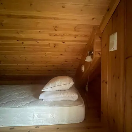 Katajaharju Holiday home *